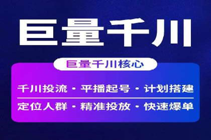 百度竞价排名案例解析：如何快速提升网站流量